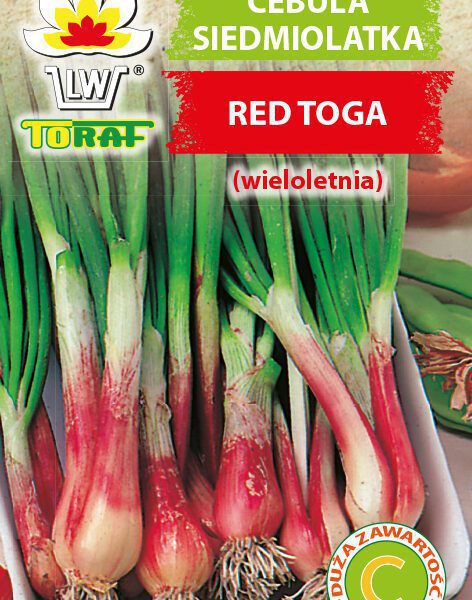 Cebula siedmiolatka Red Toga