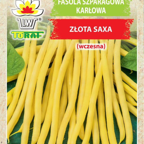 Fasola szparagowa karłowa Złota Saxa (wczesna)