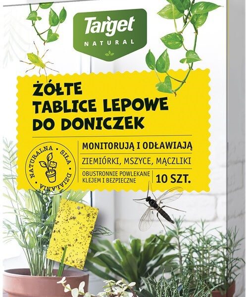 żółte tablice lepowe