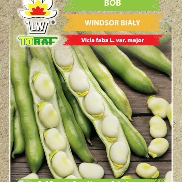 Bób Windsor biały