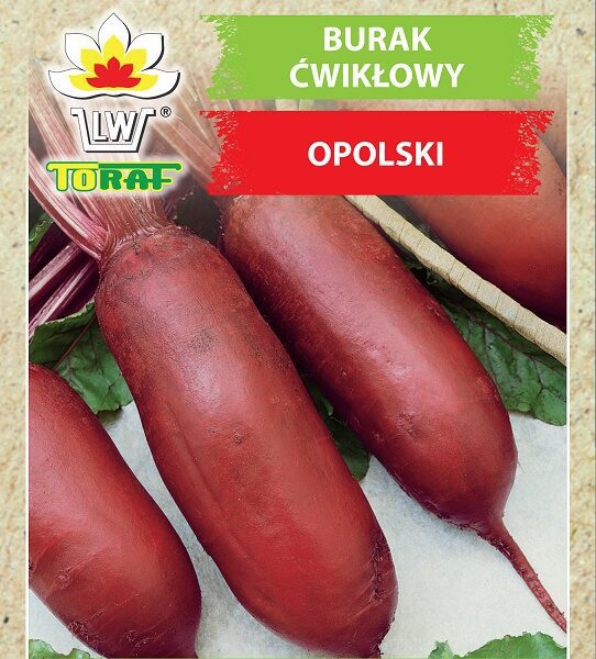Burak ćwikłowy Opolski