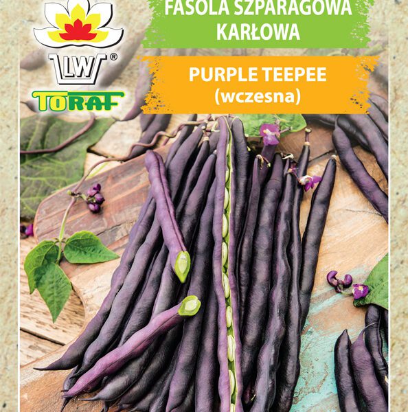 Fasola szparagowa karłowa Purple Teepee (wczesna)