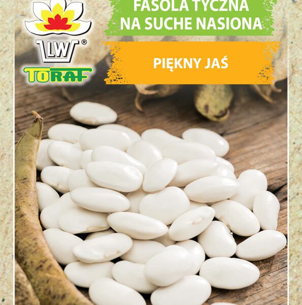 Fasola tyczna na suche nasiona Piękny Jaś