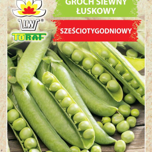 Groch siewny łuskowy Sześciotygodniowy