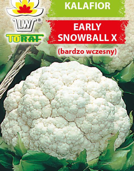 Kalafior Eearly Snowball X