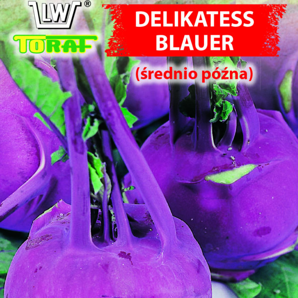 Kalarepa Delikates Blauer (średnio późna)
