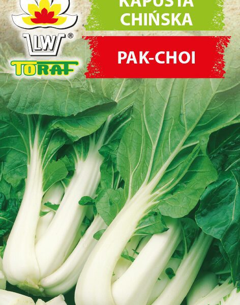 Kapusta chińska Pak-Choi