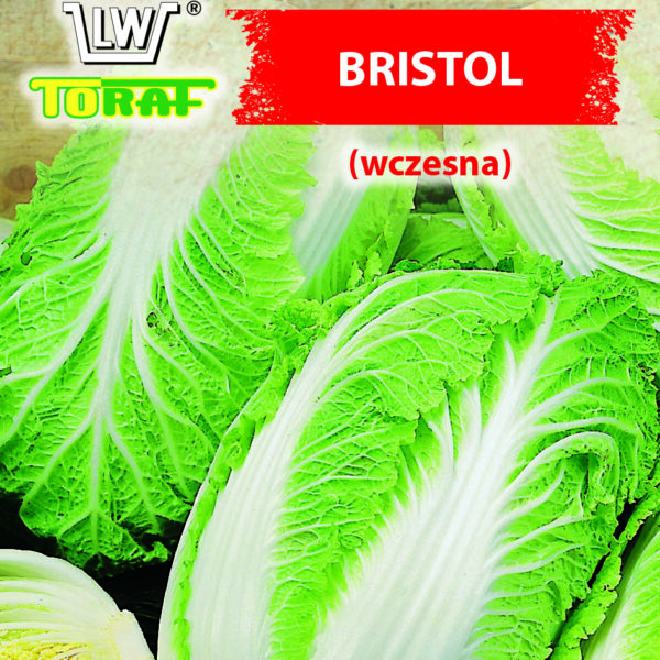 Kapusta pekińska Bristol (wczesna)