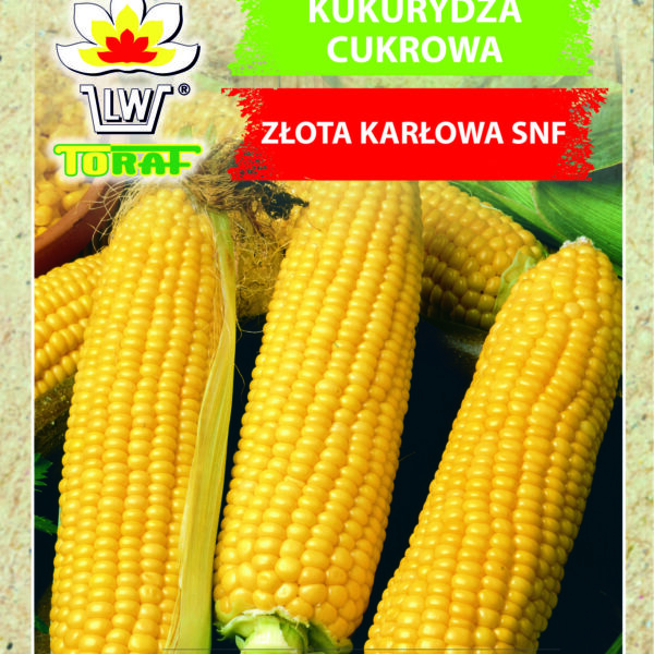 Kukurydza cukrowa Złota Karłowa SNF
