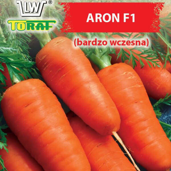 Marchew jadalna Aron F1 (bardzo wczesna)