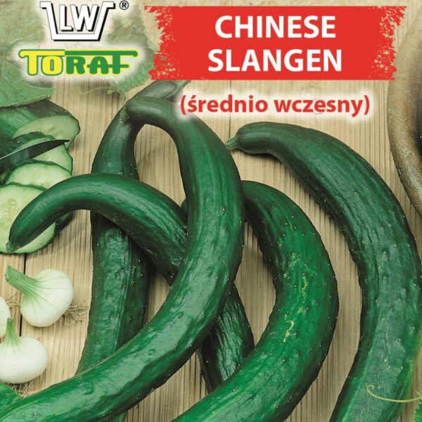 Ogórek sałatkowy gruntowy Chinese Slangen (średnio wczesny)