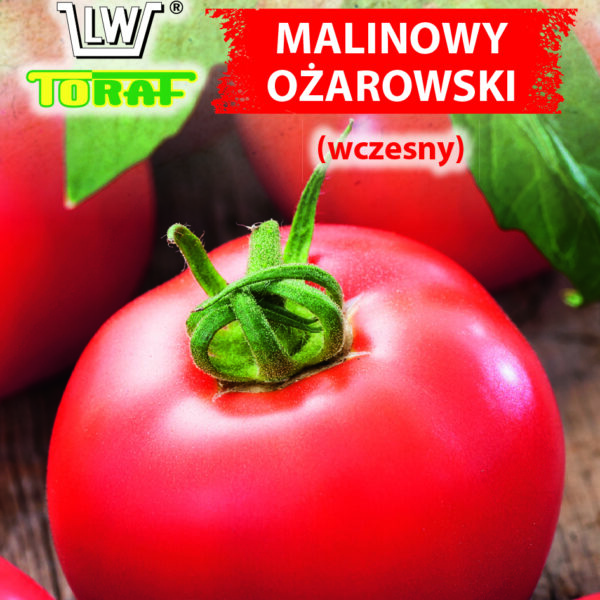 Pomidor gruntowy Malinowy Ożarowski (wczesny)
