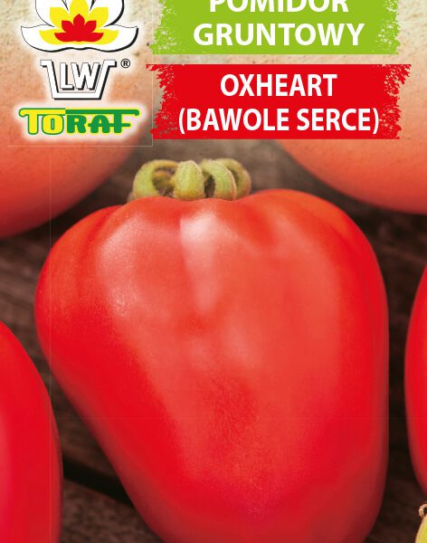 Pomidor gruntowy Oxheart