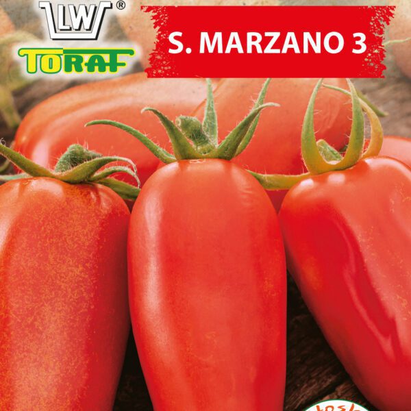 Pomidor gruntowy S. MARZANO 3