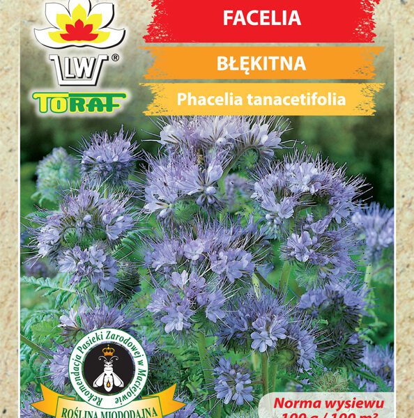 Facelia błękitna