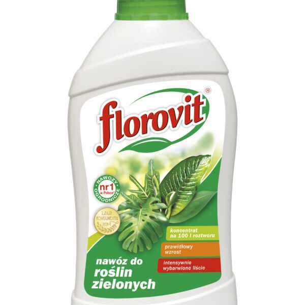 Florovit nawóz do roślin zielonych 1 kg