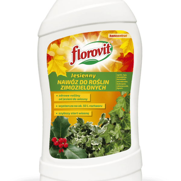 Florovit nawóz jesienny do roślin zimozielonych 1 kg