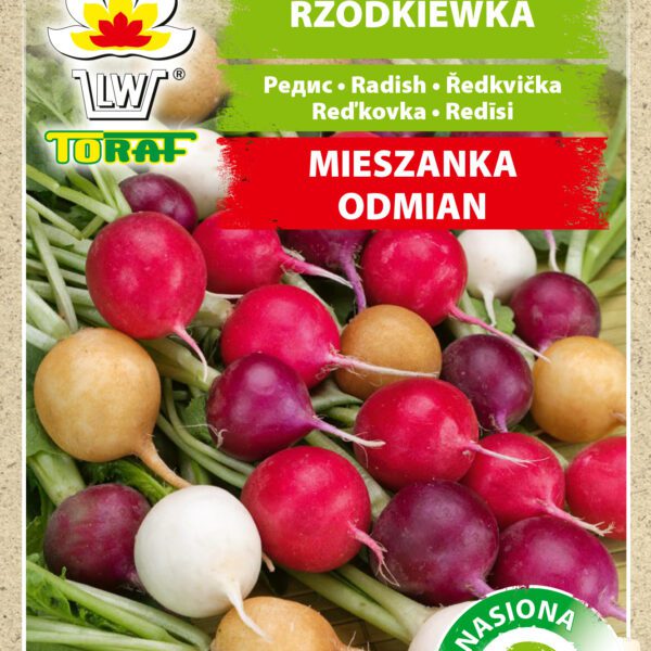Rzodkiewka mieszanka odmian taśma 6m