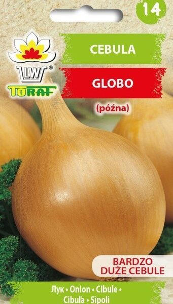 Cebula Globo