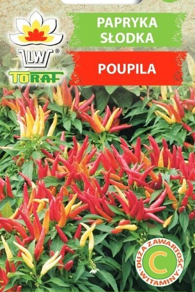 Papryka słodka Poupila