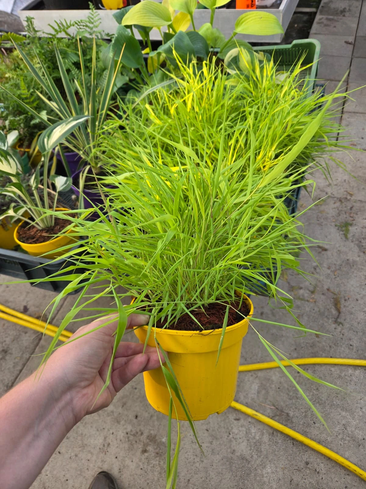 Zdjęcie WhatsApp 2025-09-09 o 23.30.22_a4b68db4