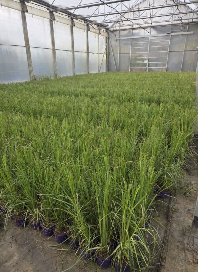 WhatsApp Image 2026-02-16 at 18.33.54 (3)