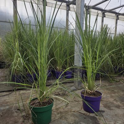 WhatsApp Image 2026-02-16 at 18.33.54